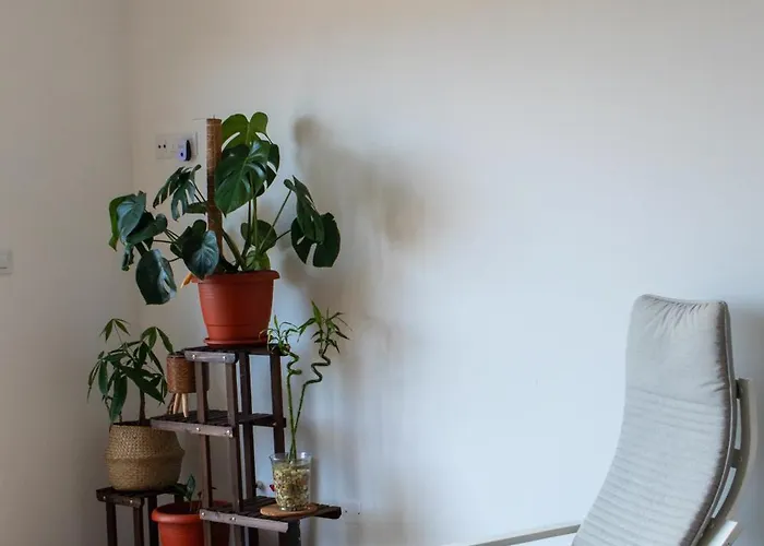 Casa Mirador Al Atlantico , Razo, Costa Da Morte בית נופש א-קורוניה